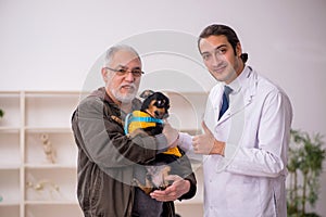Young male doctor vet examining dog in the clinic