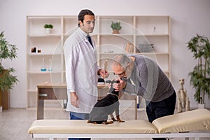 Young male doctor vet examining dog in the clinic