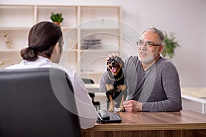 Young male doctor vet examining dog in the clinic