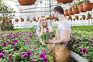 Young male gardener holding pot with flowers while woman