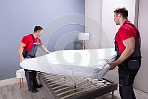 Young Male Movers Placing The Mattress Over The Bed