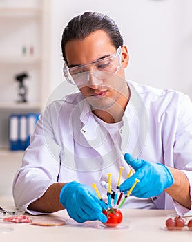 Young male nutrition expert testing food products in lab