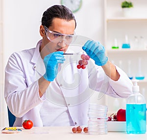 Young male nutrition expert testing food products in lab