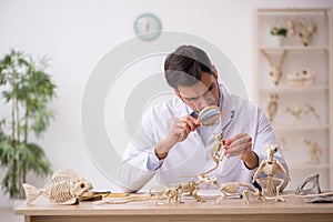 Young male paleontologist examining ancient animals at lab