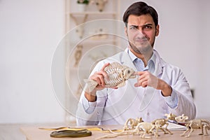 Young male paleontologist examining ancient animals at lab