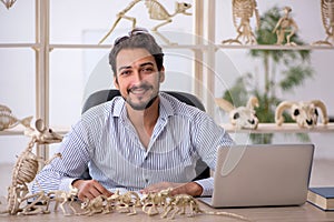 Young male paleontologist examining ancient animals at lab