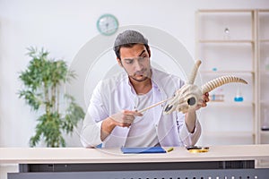 Young male paleontologist examining goat head at lab