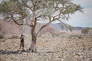 Young male photographer taking photo under the Savanna tree