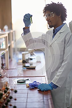 A young male student in the laboratory observing chemical reaction in the test tube. Science, chemicals, lab, people