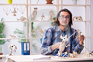 Young male teacher paleontologist in the classroom