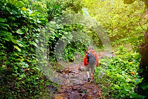 Young male tourist hiking on the famous Kalalau trail along Na Pali coast of the island of Kauai