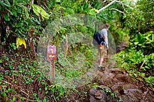 Young male tourist hiking on the famous Kalalau trail along Na Pali coast of the island of Kauai