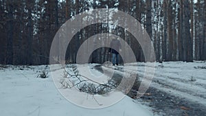 Young Male Tourist Walking in the Winter Forest. Hicking and Travel Concept. Snowy Forest, Winter