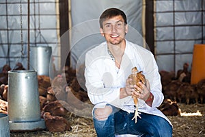 Young male veterinarian holding brown chicken