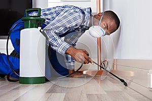 Male Worker Spraying Pesticide