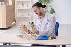 Young male zoologist demonstrating skeletons of eagle and owl