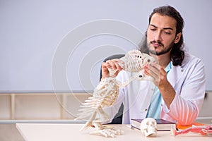 Young male zoologist examining fish skeleton