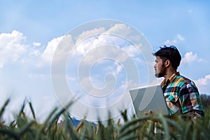 Young man agriculture engineer squatting in gold wheat field