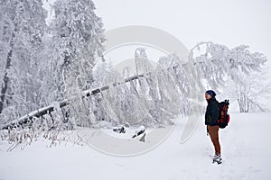 Young man appreciating a snow covered winter landscape