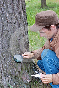 Young man attentively studies a tree bark