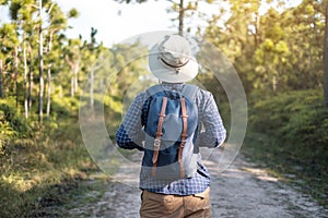 Young man with backpack and hat hiking in mountains during summer season, solo traveler walking in the forest. Travel, adventure