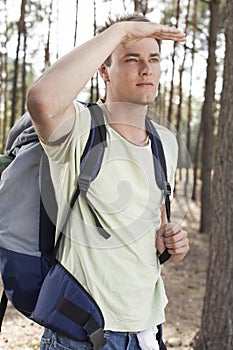 Young man with backpack shielding eyes in forest photo