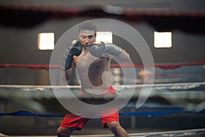 Young man in boxing gloves practicing kickboxing in ring photo