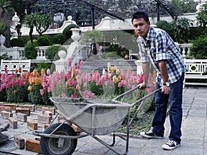 Young man cleaning the garden