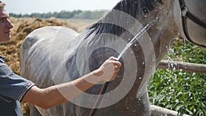 Young man cleaning the horse by a hose with water stream outdoor. Horse getting cleaned. Guy cleaning body of the horse