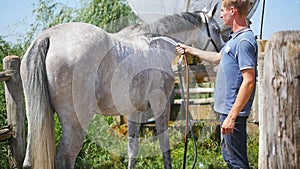 Young man cleaning the horse by a hose with water stream outdoor. Horse getting cleaned. Guy cleaning body of the horse