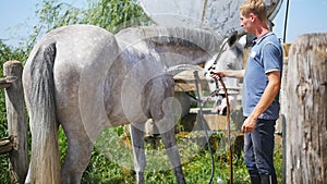 Young man cleaning the horse by a hose with water stream outdoor. Horse getting cleaned. Guy cleaning body of the horse