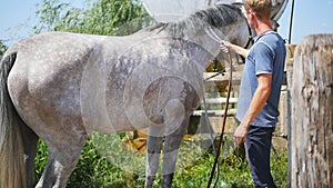 Young man cleaning the horse by a hose with water stream outdoor. Horse getting cleaned. Guy cleaning body of the horse