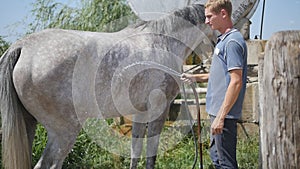 Young man cleaning the horse by a hose with water stream outdoor. Horse getting cleaned. Guy cleaning body of the horse