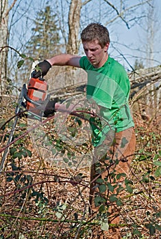 Young Man Clearing Brush with Chainsaw