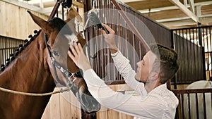 Young man combing a fetlock a mane horse