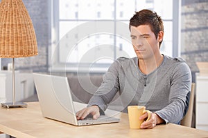 Young man concentrating on laptop screen photo