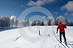 Young man cross-country skiing