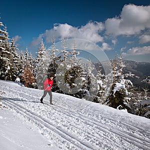 Young man cross-country skiing