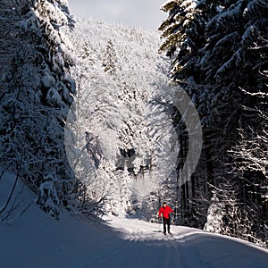 Young man cross-country skiing