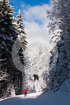 Young man cross-country skiing