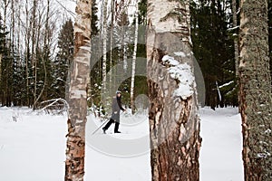 Young man cross-country skiing in the forest