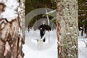 Young man cross-country skiing in the forest with White dog