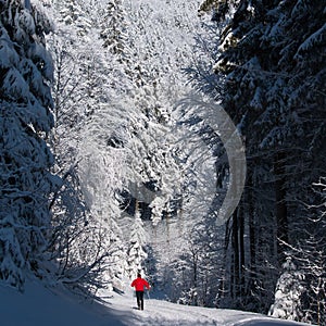 Young man cross-country skiing on a lovely winter day