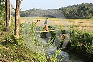 Young Man Crossing a River