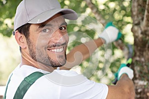 Young man cutting branch with pruning shears