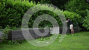 Young man cutting and shaping the hedge