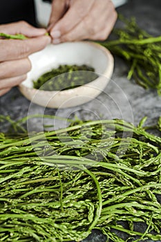 Young man is cutting some wild asparagus