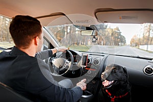 Young man with a dog is driving in a car.