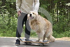 A young man and a dog on a skateboard ride in the park in the summer
