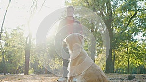 Young man with down syndrome in checkered shirt walking with golden retriever dog outdoors in the park